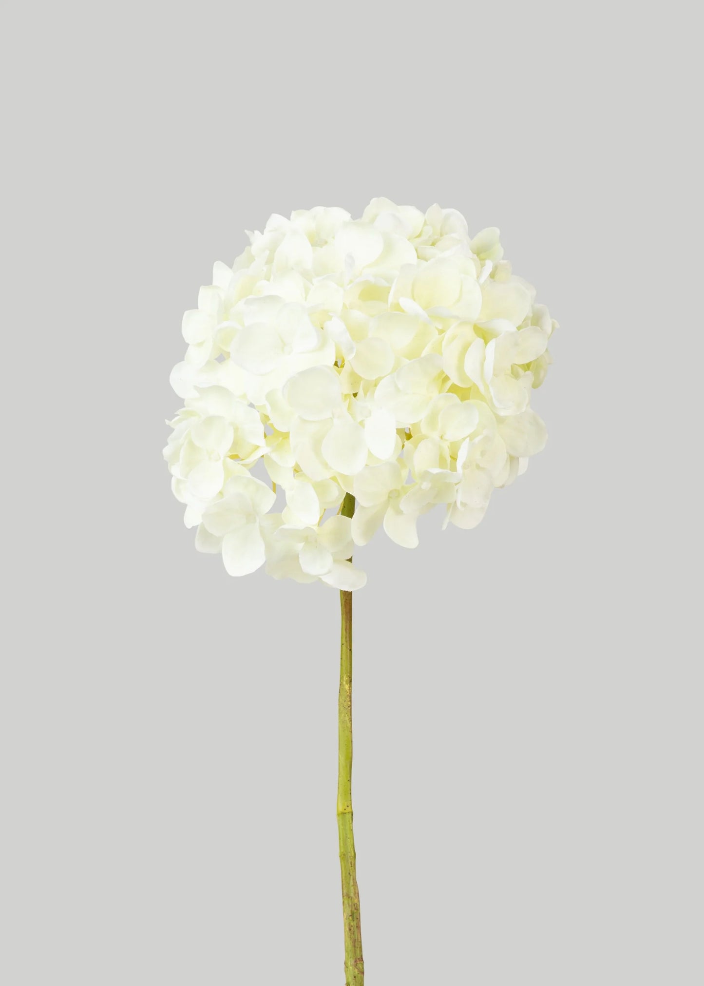 Large White Artificial Hydrangea Flower - 24" x 9" Bloom