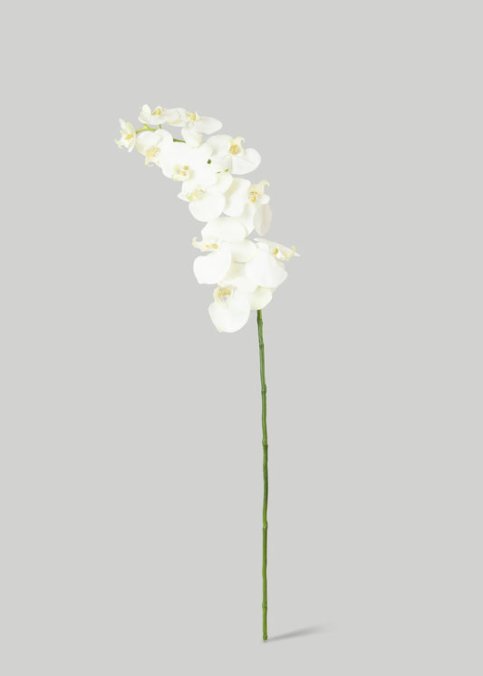 White Cream Artificial Phalaenopsis Orchids - 39"